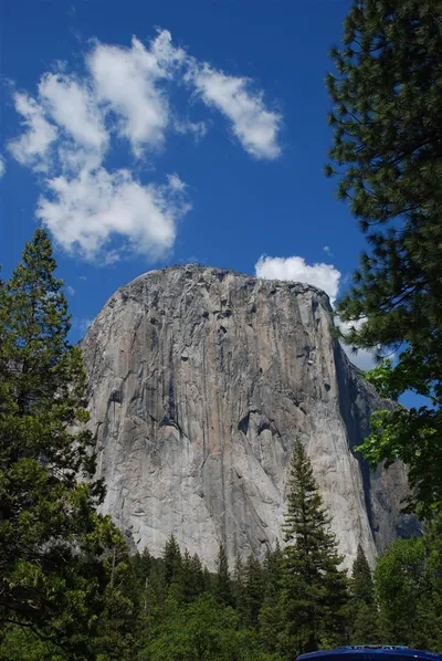 DSC_0046 (Large).JPG